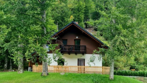 Radovna Mountain Valley Cottage